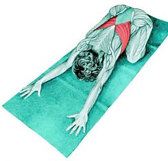 Как простым способом можно решить проблему болей в спине