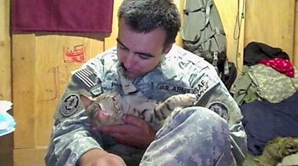 Кот стал единственным другом и поддержкой американскому солдату (6 фото)