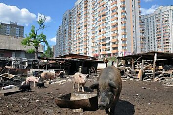 Яма - деревня в городе Киеве (30 фото)