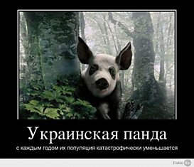 Редкие украинские животные