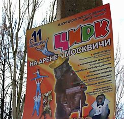 На арене дрессированные москвичи