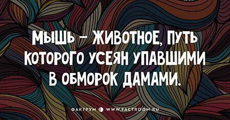 15 шутливых открыток, которые подарят вам заряд оптимизма