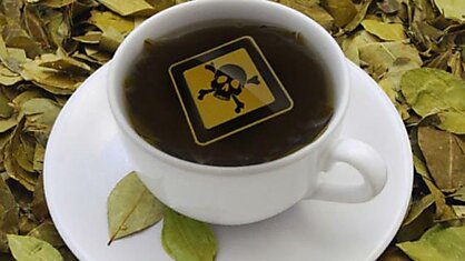 Опасные ингредиенты индийского чая