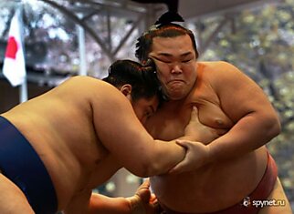 Борцы сумо на ежегодном турнире в Токио (13 фото)