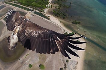 Победители фотоконкурса Dronestagram