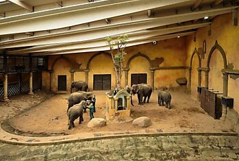 Зоопарк Хагенбека - один из лучших зоопарков Европы