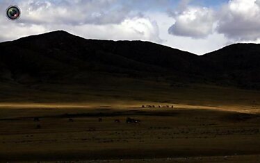 Добыча золота в Монголии (24 фотографии)