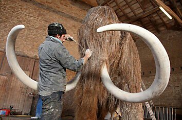 Проект «Мамонт»: возвращаем древних гигантов к жизни