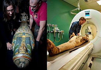 Новости от древнеегипетской мумии