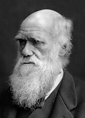 Правила жизни. Чарльз Дарвин