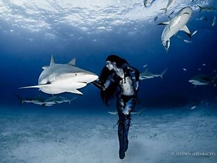 Жуткие танцы с акулами - фотопроект Шона Хейнрикса