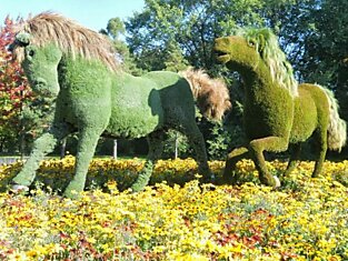 Изысканное зеленое искусство: живые статуи