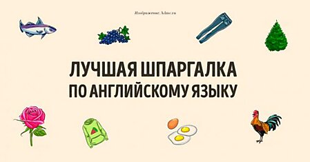 Лучшая шпаргалка по английскому языку, в которой содержится вся база!