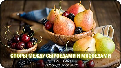 СПОРЫ МЕЖДУ СЫРОЕДАМИ И МЯСОЕДАМИ