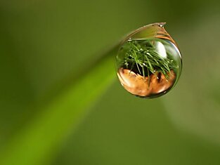 У капель воды, находящихся на холодной поверхности, при замерзании образуются заостренные вершины