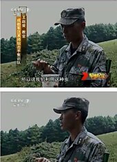 Китайские снайперы не боятся ничего