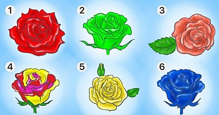 Как определить характер человека с помощью розы