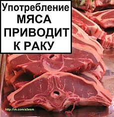 "Какой смысл придумывать себе сложности?"