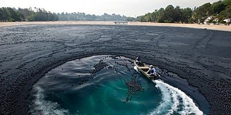 В далеком 2007 году Департамент по охране водных ресурсов....