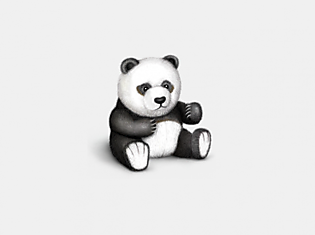 Все панды в мире принадлежат Китаю, но их можно взять в аренду