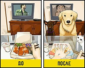 Жизнь до и после появления собаки в доме