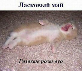 Мартовское разноголосье