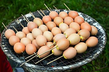 Почему жаль, что у нас не принято готовить шашлык из яиц