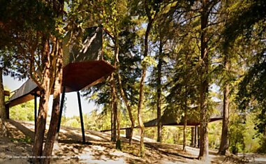 Лесные экодома Tree Snake Houses