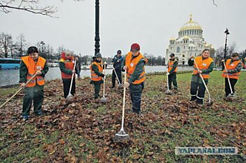 "Это мы из Кронштадта!"