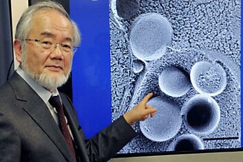 Лауреат Нобелевской преми 2016 года Ёсинори Осуми доказал пользу поста