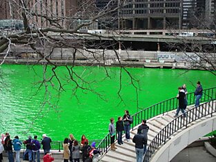 Ежегодно в рамках празднования Дня Святого Патрика, воды реки Чикаго окрашиваются в зелёный цвет