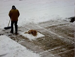 Добрый дворник....))))