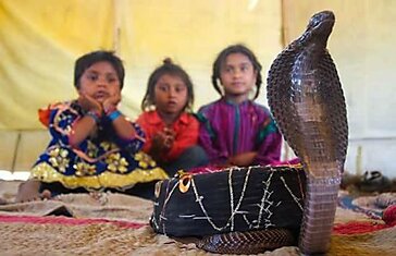 Дети племени Вади приручают ядовитых змей с двухлетнего возраста