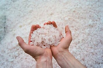Соль из Китая заражена микропластиком