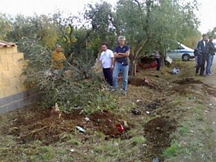 Разбили Феррари на свадьбе (13 фотографий)