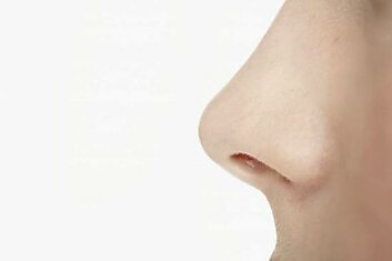 Ваш нос производит около 1 литра слизи в сутки, большую часть которой вы проглатываете