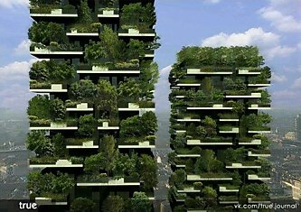 Vertical Forest