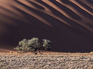 15 лучших кадров сентября от National Geographic