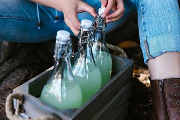 Как отмыть пластиковую бутылку от зелени: вода больше не будет цвести