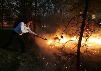 Президент Украины тушит пожар! (13 фотографий)