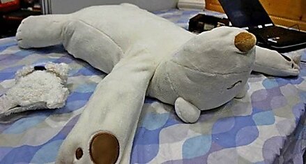Подушка-мишка Jusui-Kun поможет не храпеть во сне