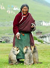 Фотографии из Тибета (7 фото)