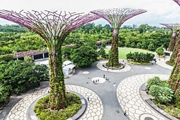 Supertree Grove – природный парк со стальными деревьями в Сингапуре