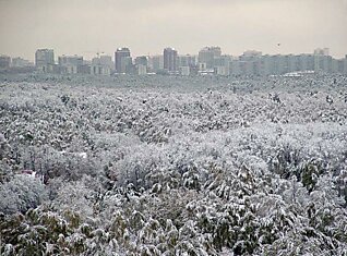 Лужков зимой оставит Москву без снега