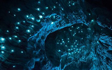 Биолюминесценция в действии: пещерный червяк из Новой Зеландии превращает пещеры в восьмое чудо света