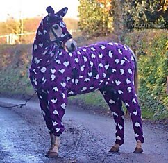 Лошадь в пижаме