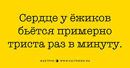 Десятка ошеломительных фактов, вызывающих искреннее удивление