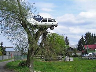 Машина на дереве