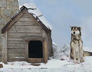 Грусть и терпение