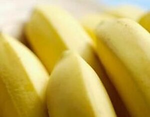 Разгрузочный день на бананах.